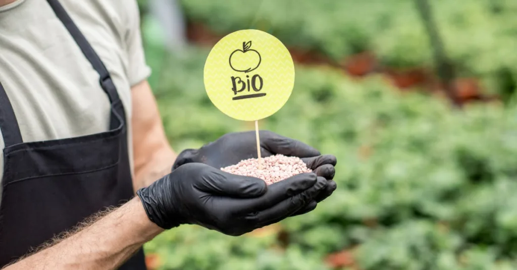 Mann hält Samen aus biologischem Anbau in der Hand. Trägt schwarze Handschuhe und befindet sich vor einem Feld